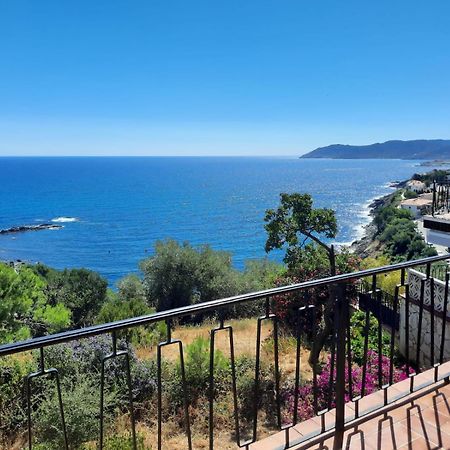Apartamento Deluxe Cau Del Llop Llança Dış mekan fotoğraf