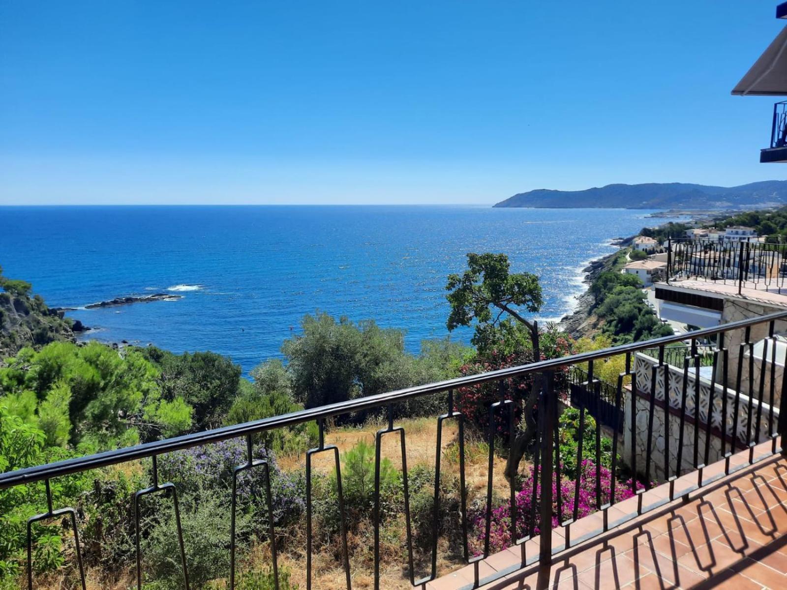 Apartamento Deluxe Cau Del Llop Llança Dış mekan fotoğraf